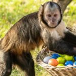 Ostersonntag im Zoo Schwerin