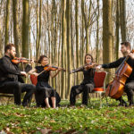 Neuer Termin - Festspiele MV: (Putbus) Frühlingserwachen - Eröffnungskonzert (Kopie)