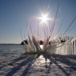 Schweriner Winterwanderung