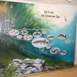 Vom Fischer un sin Fang rund um den Schweriner See - Dauerausstellung