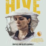 Kino unterm Dach - Hive