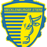 Handball: Mecklenburger Stiere - Oranienburger HC II