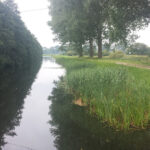 Tour durch die Lewitz und Griese Gegend