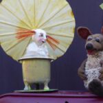 KUNSTRASEN - Der Kunstrasen kommt zurück und findet in diesem Jahr auf dem Küchengarten am Theaterzelt statt - Wie das Känguru zu seinen langen Beinen kam – Theater Tandera