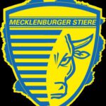 Mecklenburger Stiere vs. LHC Cottbus