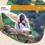 Sommersafari durch den Zoo Schwerin