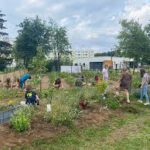 "Offene Gärten in M-V“: Nachbarschaftsgarten