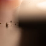 Ausstellungseröffnung Cora Pongracz: "8 erweiterte portraits" mit Marietta Mavrokordatou