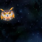 Kulturforum: Unser Programm zur Nacht des Wissens