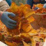 Öffentlicher Herbstputz im Zoo