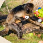 Ostersonntag im Zoo Schwerin