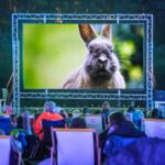 Zookultur - Open-Air-Kino im Zoo