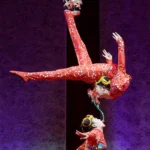 Chinesischer Nationalcircus - ZENsation - Chinas Grossmeister der Balance