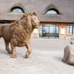 Öffentlicher Frühjahrsputz