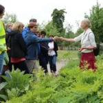 Öffentliche Kräuterführung - Die Wilden am Wegesrand