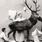 Vortrag zu "Bekrönte Händler"