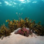 Multimediale Buchvorstellung mit Ramon Gerwien