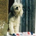 Kinnings, wie die Zeit vergeht! - Ein Theaterabend in zwei Teilen vom Stadtensemble des Mecklenburgischen Staatstheaters