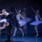 Schwanensee - International Festival Ballet & Festival Orchestra