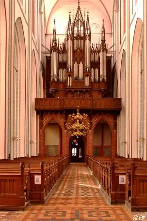 Dom: Recital 20 Minuten Orgelmusik an der Ladegastorgel und biblische Lesung