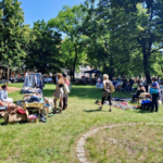 Hofflohmarktfestival in der Feldstadt