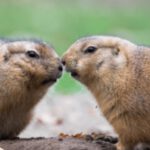 Valentinstags-Event im Zoo Schwerin