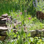 Ferienangebot: Gartentag für die ganze Familie