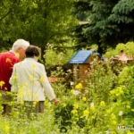 Offene Gärten in Mecklenburg-Vorpommern