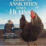 Kino unterm Dach: Lebensansichten eines Huhns