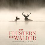 Kino unterm Dach: Das Flüstern der Wälder